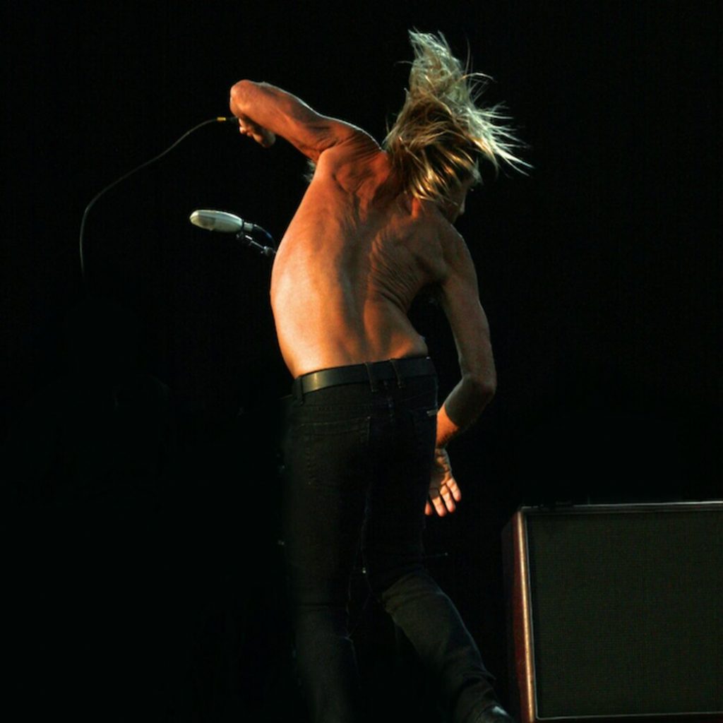 Iggy Pop by Laura Bradley