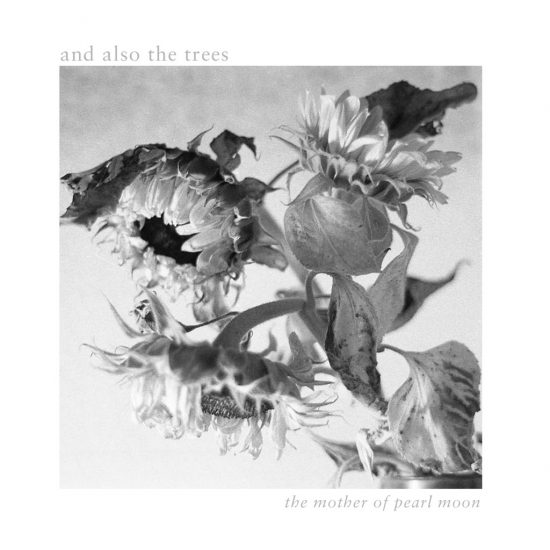 AATT mother of pearl moon CD