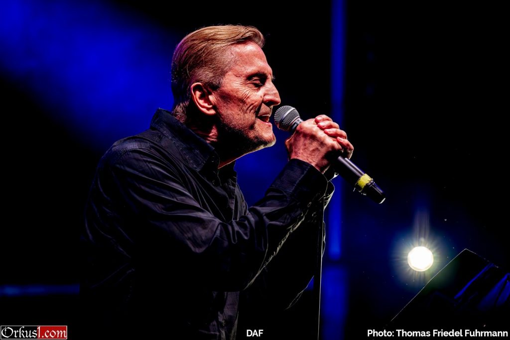 DAF – Robert Görl