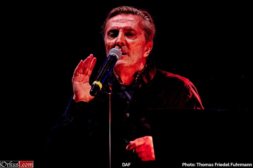 DAF – Robert Görl
