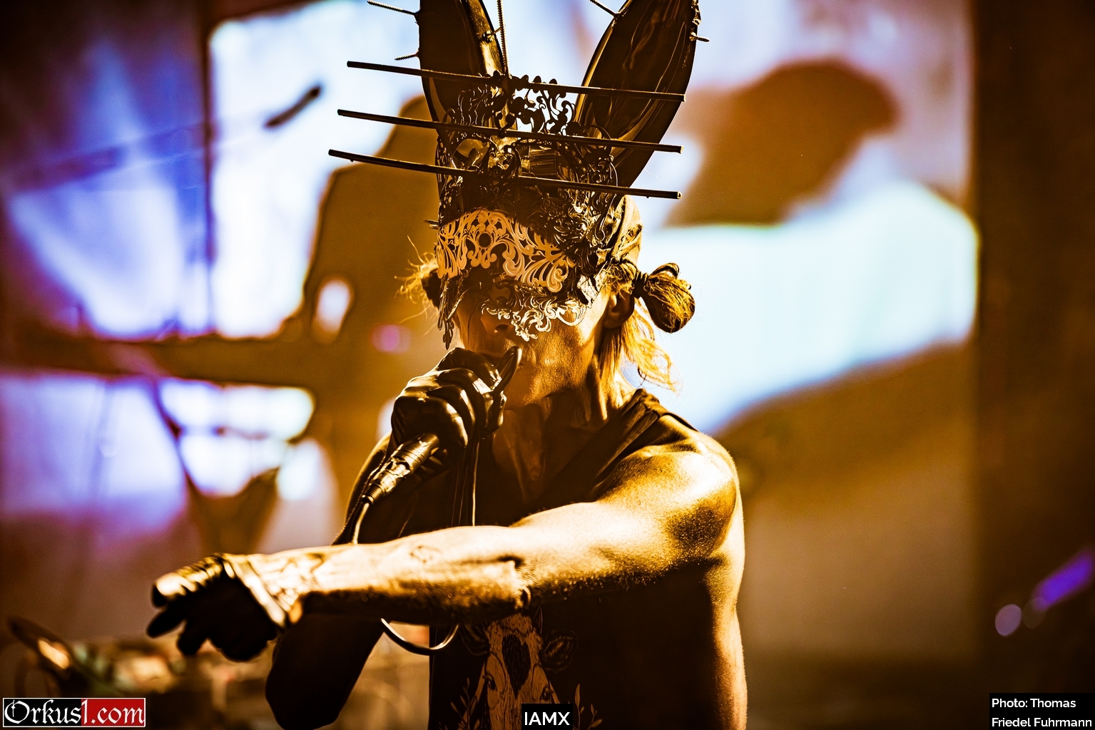 IAMX