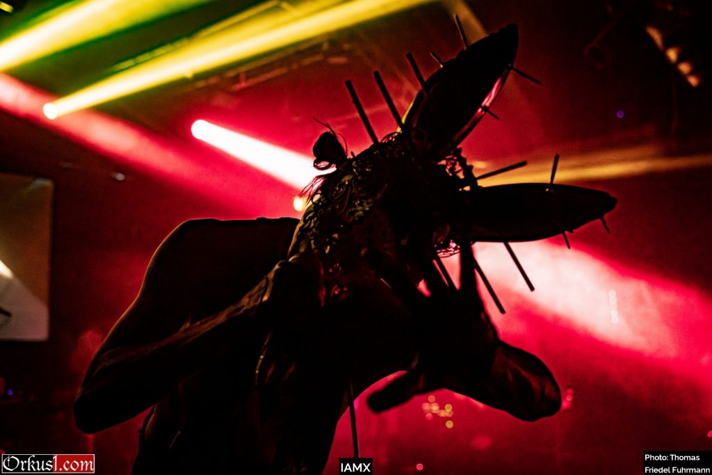 IAMX