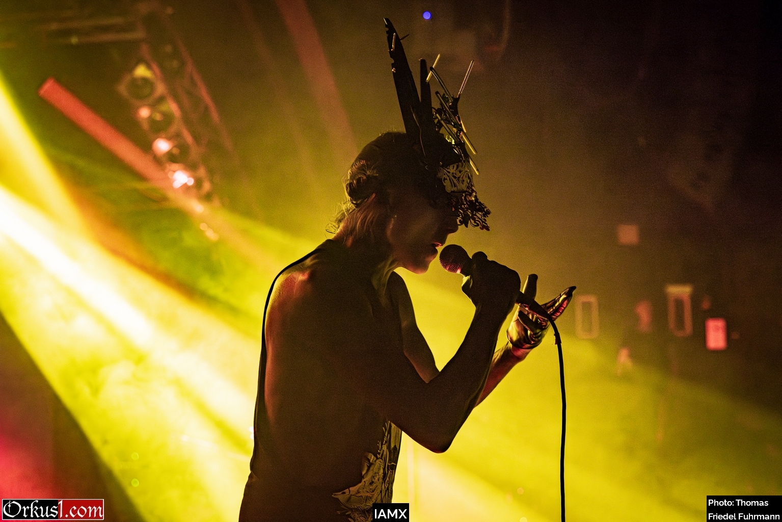 IAMX