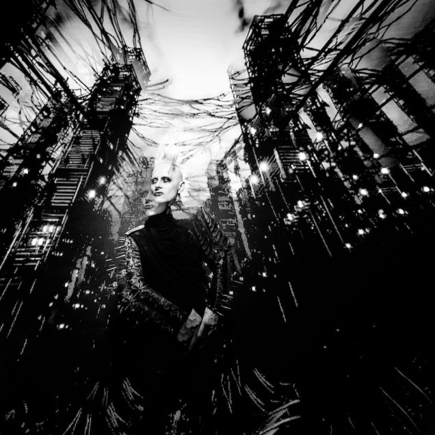 Skold