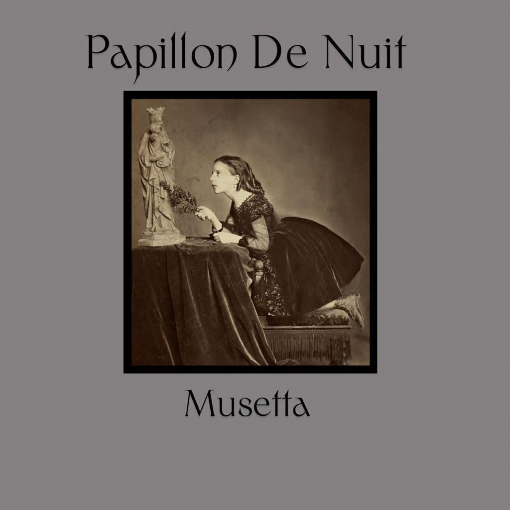 Papillon de Nuit